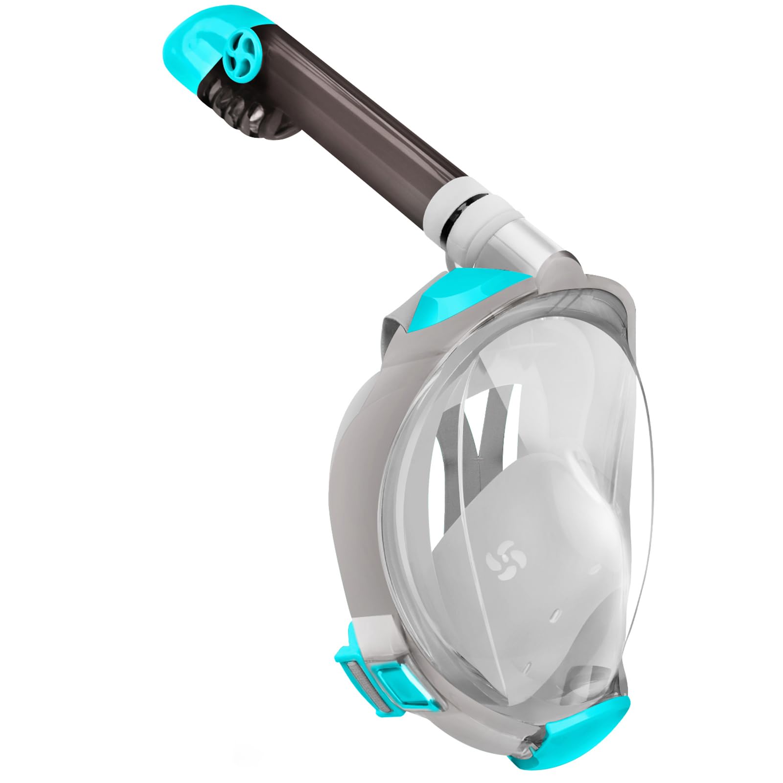 Full Face Snorkel Mask