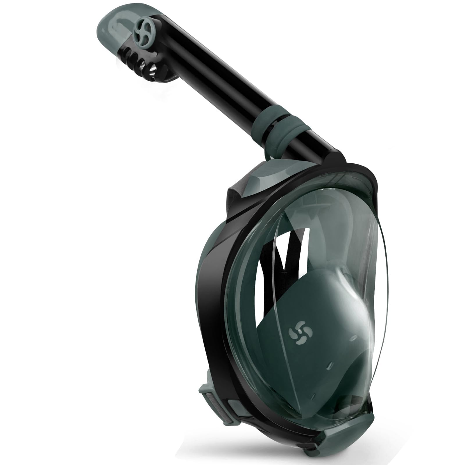 Full Face Snorkel Mask